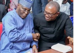 ATIKU, OBI BIRDS OF A FEATHER AND THEIR VAULTING AMBITIONS